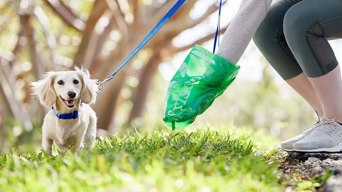 Don't Be a Poo Party Pooper: Celebrate International Pooper Scooper Week with Atlas Paws!