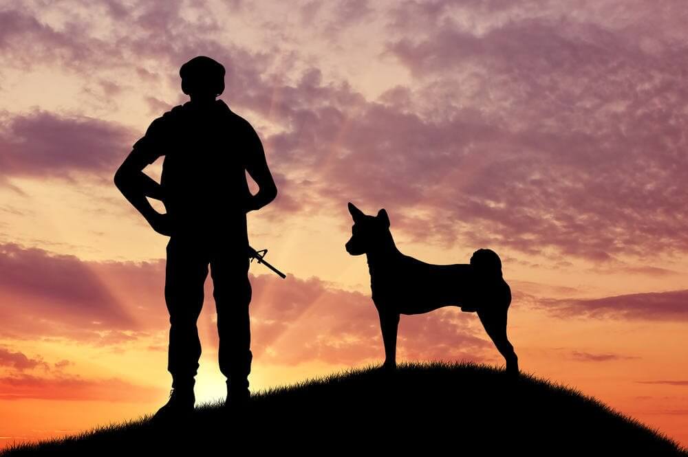 Salute Our Heroes with Four Legs: Celebrating K9 Veterans Day on March 13th
