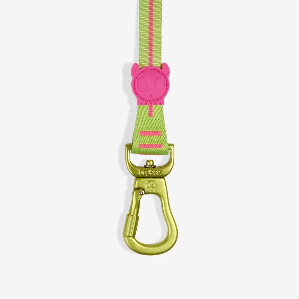 CMYK Long Leash