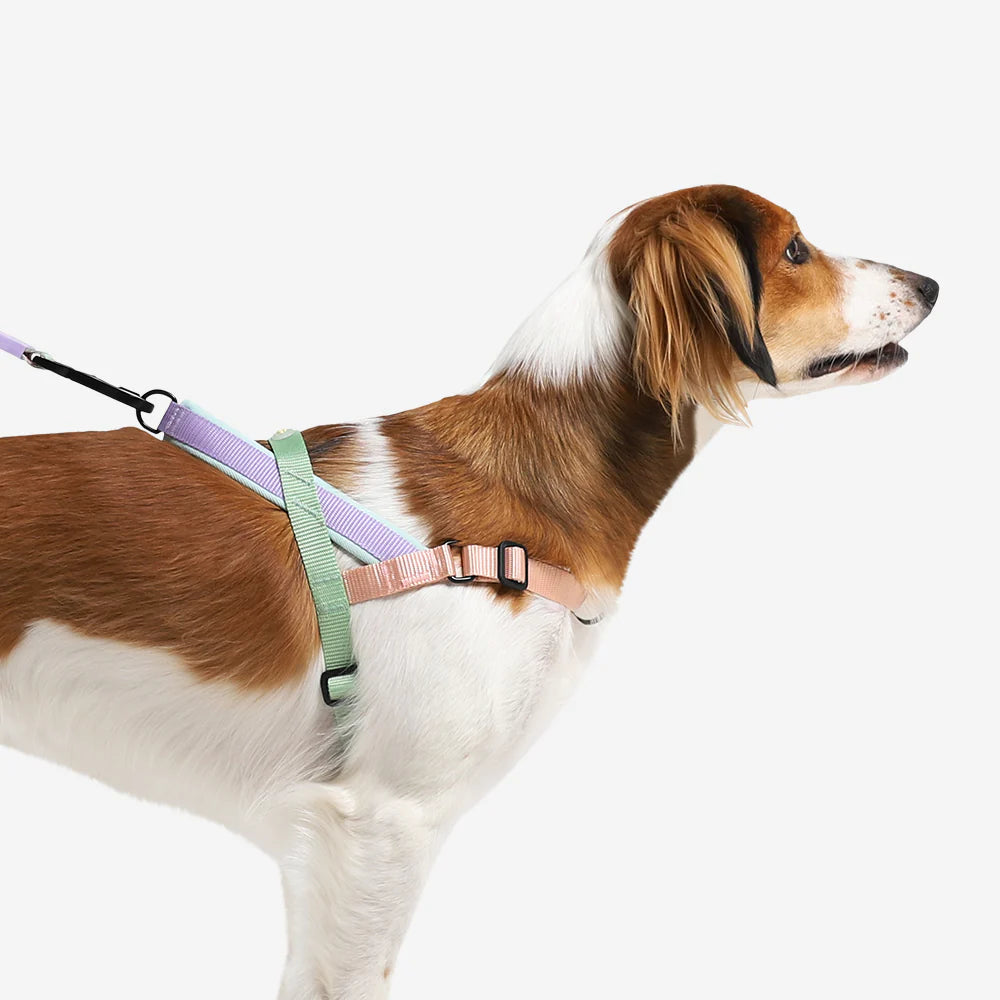 SofterWalk Harness Peach