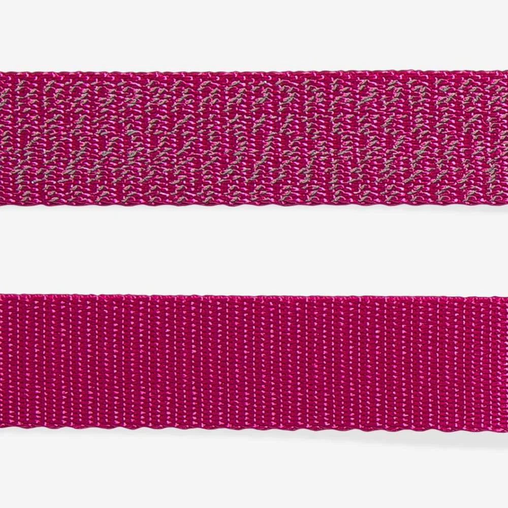 NOX Sidus Leash