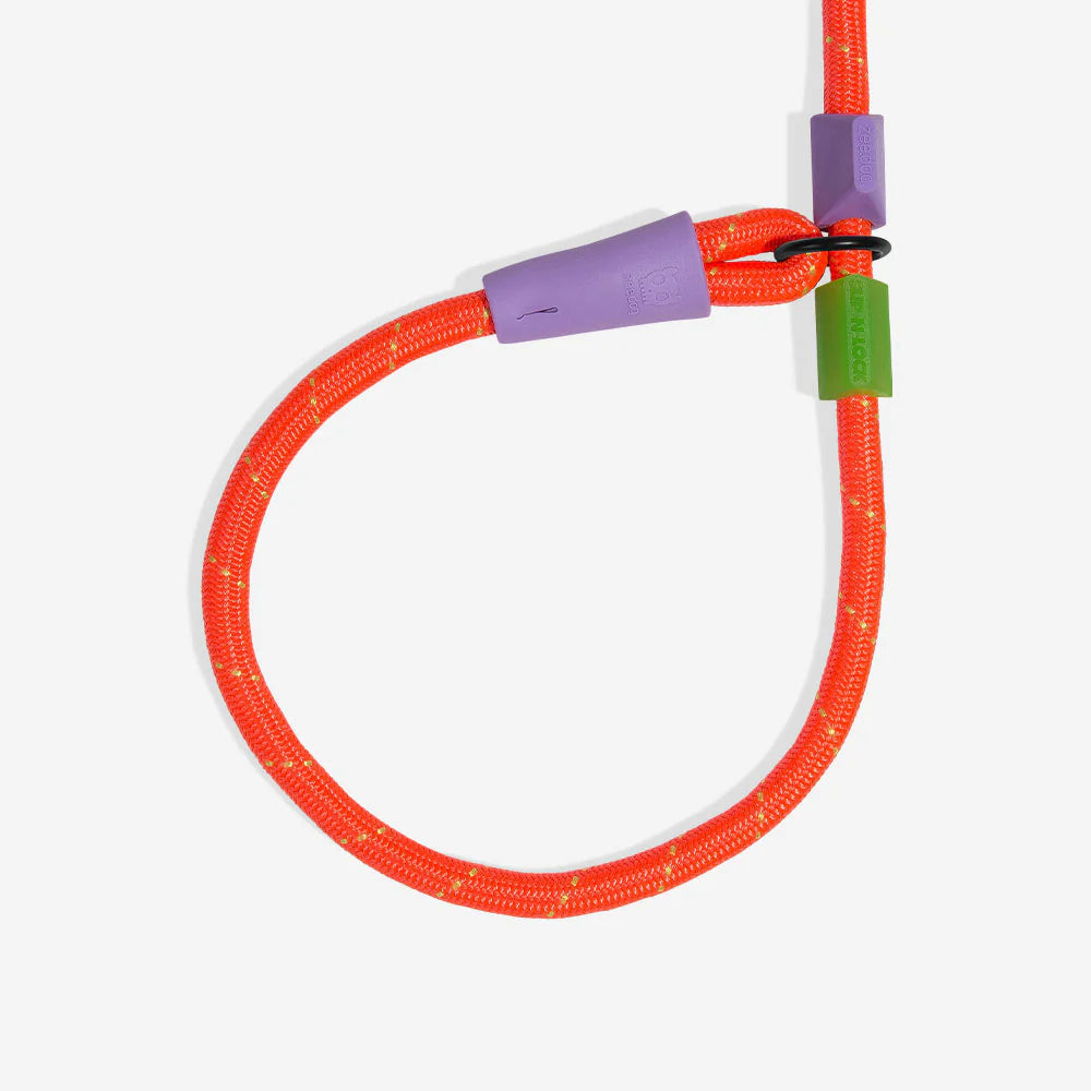 Everest Slip-N-Lock Leash