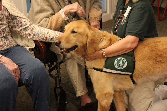 Celebrate Our Canine Caregivers: Dog Therapy Appreciation Day with Atlas Paws!