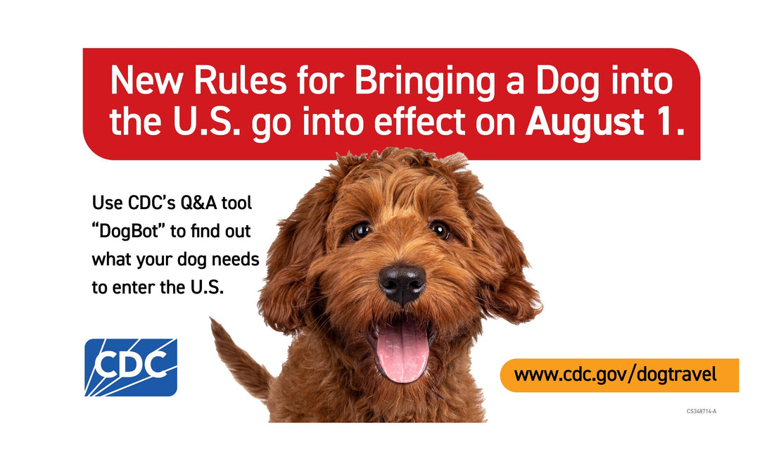 Important Update for Traveling with Your Dog to the U.S.