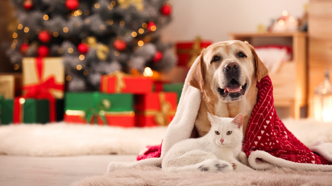 Holiday Hustle or Happy Hounds? Considering Bringing a Dog Home for the Holidays?