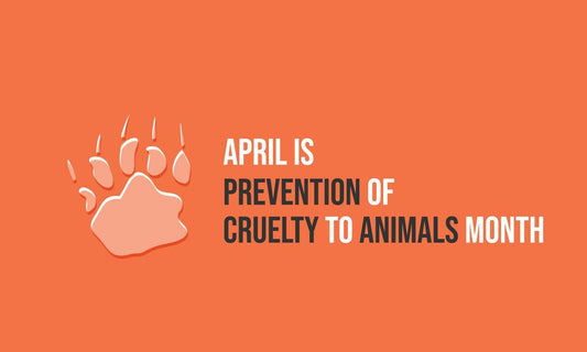 Celebrate Compassion with Atlas Paws This Prevention of Cruelty to Animals Month!