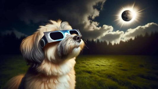 🌒 How Solar Eclipses Can Affect Your Dogs: Stay Prepared with Atlas Paws 🐾