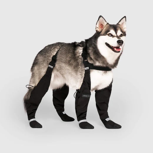 Suspender Dog Boots