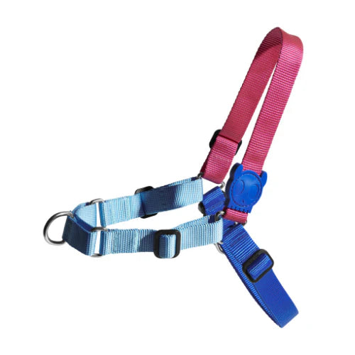Soft-Walk Harness Cooly