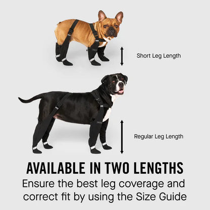 Suspender Dog Boots