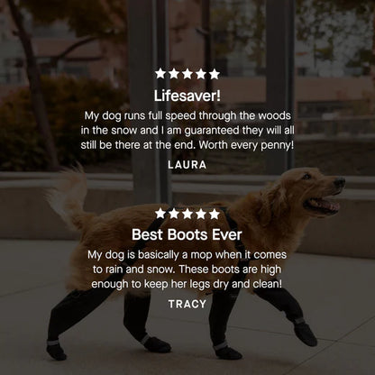 Suspender Dog Boots