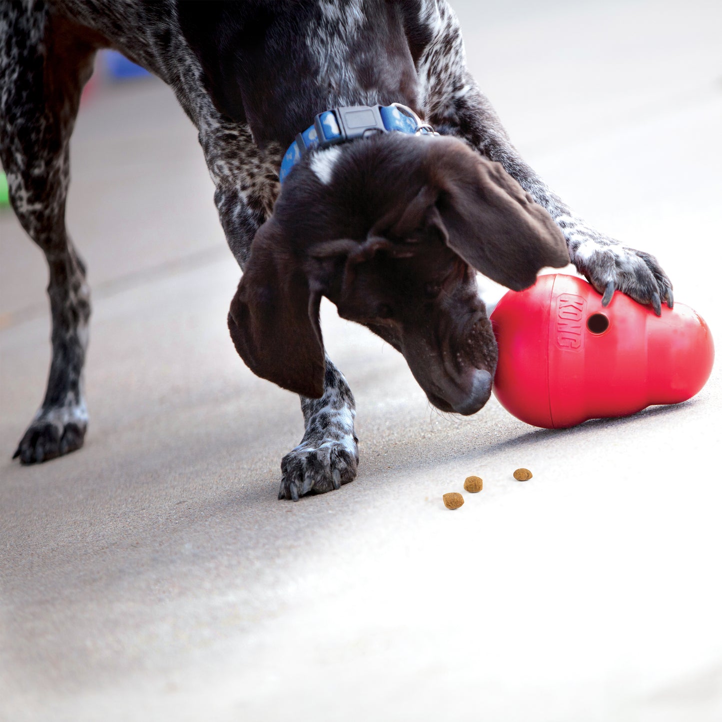 Wobbler Food Dispenser