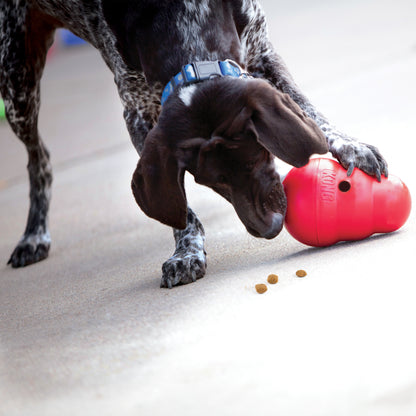 Wobbler Food Dispenser
