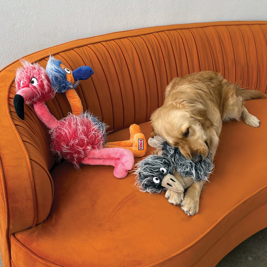 Comfort Jumbo Bird