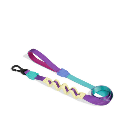Ruff Leash Shockwave