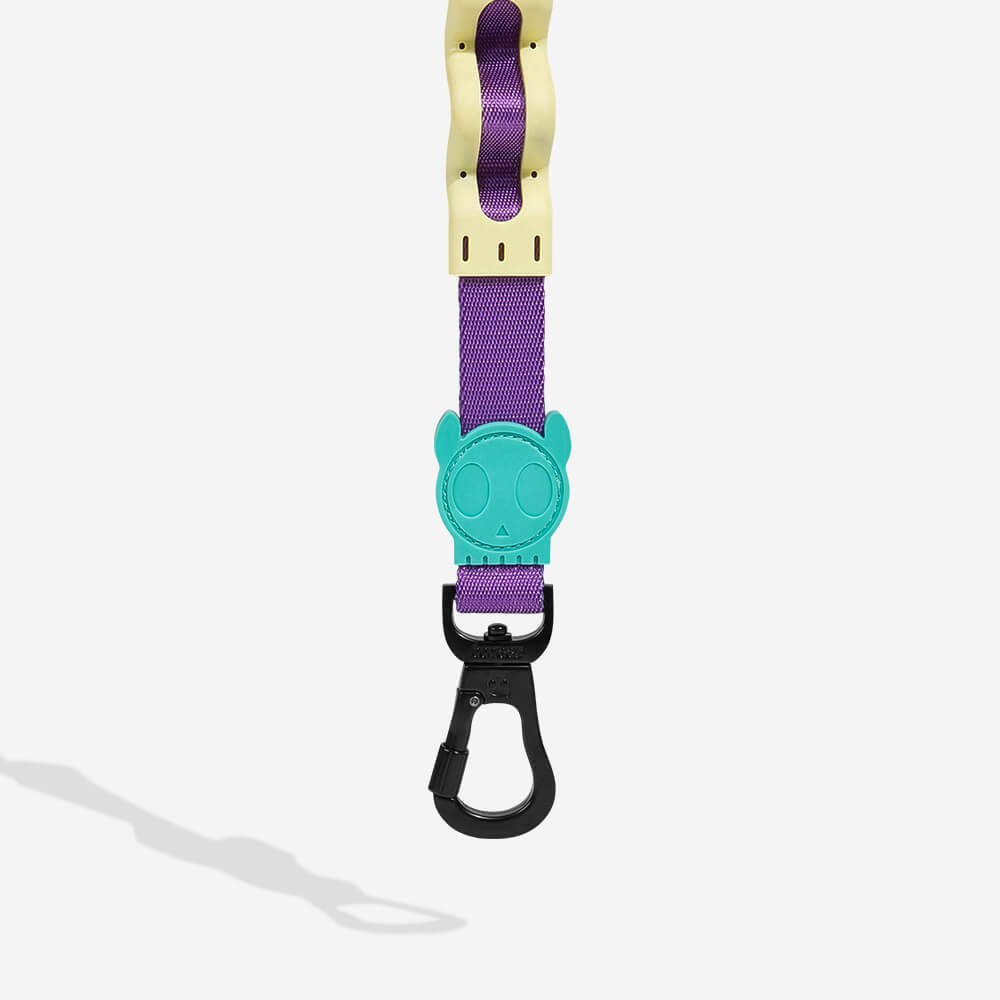 Ruff Leash Shockwave