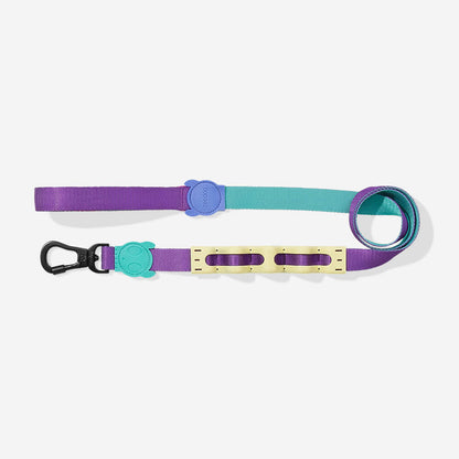 Ruff Leash Shockwave