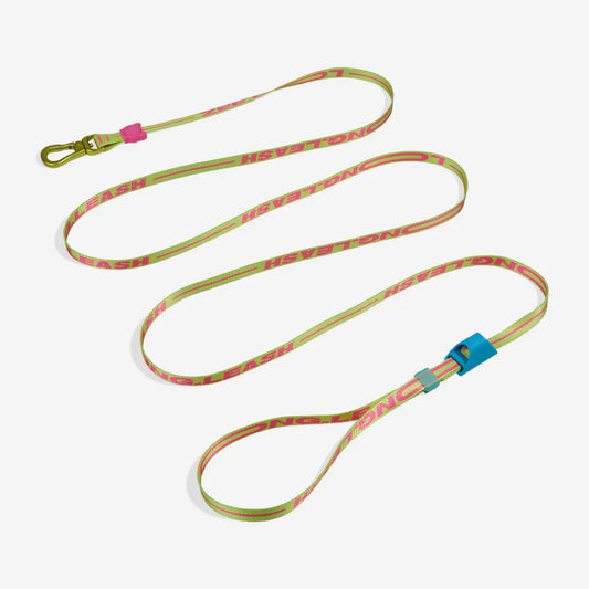 CMYK Long Leash