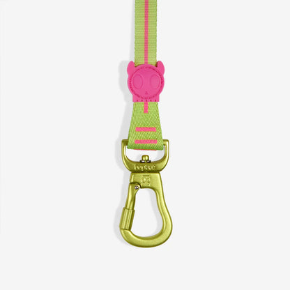 CMYK Long Leash