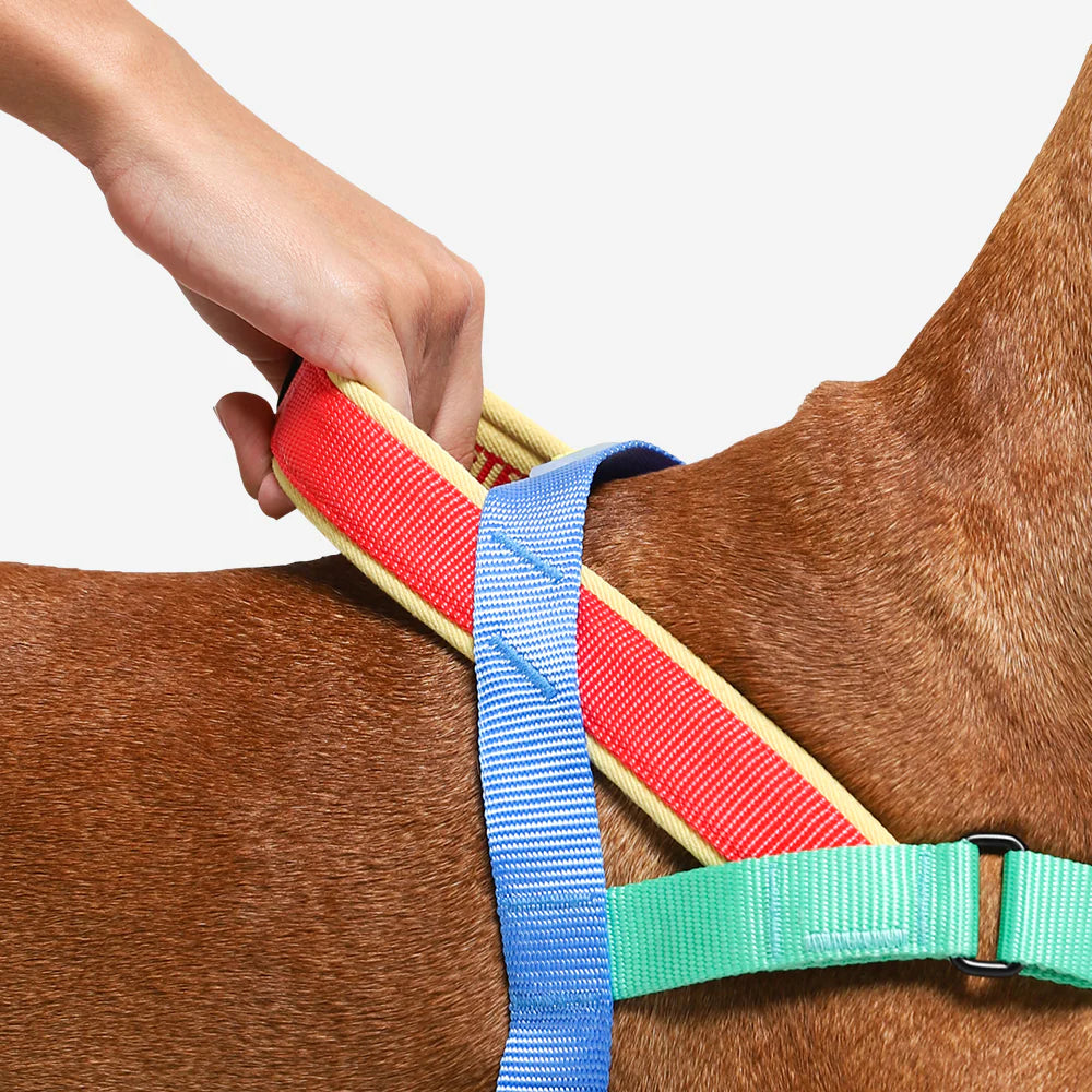 SofterWalk Harness  Mellow