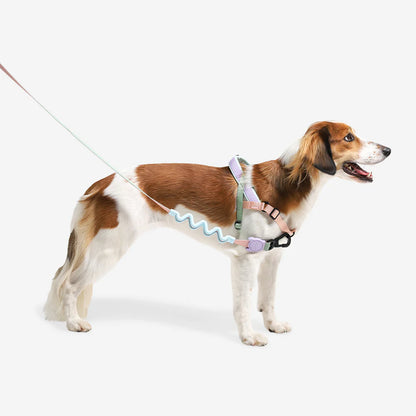 SofterWalk Harness Peach