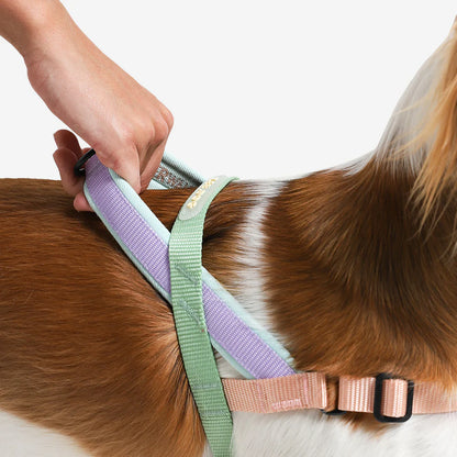 SofterWalk Harness Peach