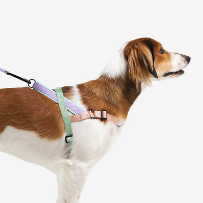SofterWalk Harness Peach