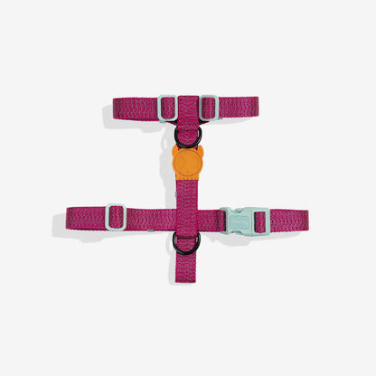 NOX Sidus Harness