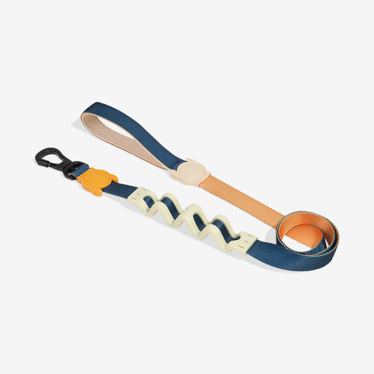 Ruff Leash Voyage