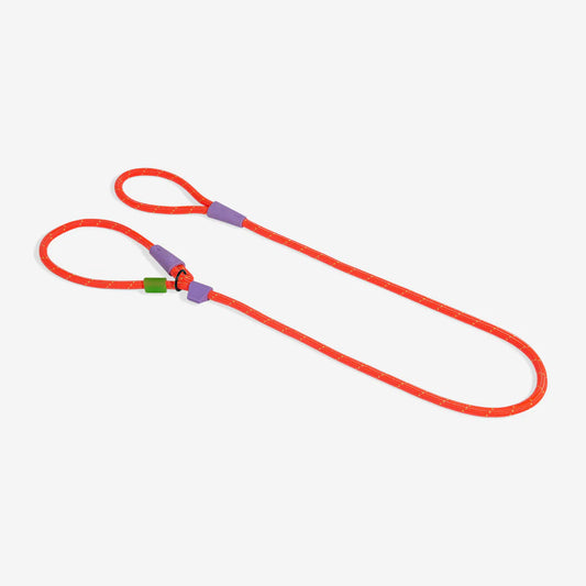 Everest Slip-N-Lock Leash