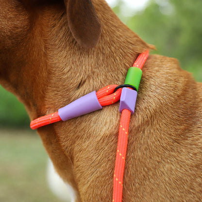 Everest Slip-N-Lock Leash