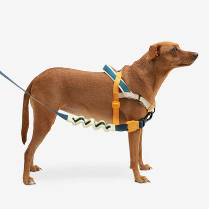 SofterWalk Harness Voyage