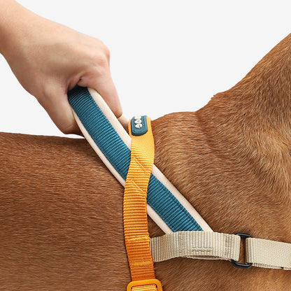 SofterWalk Harness Voyage