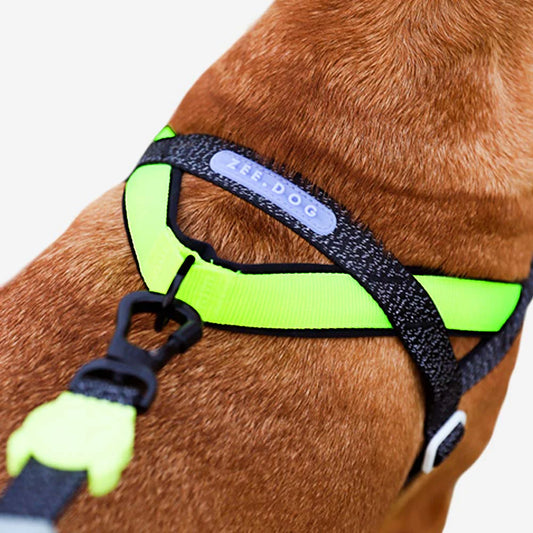 NOX SofterWalk Harness